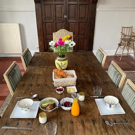 Maison Du Gave Bed and Breakfast Sauveterre-de-Bearn