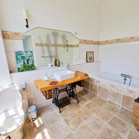 Maison Du Gave Bed & Breakfast Sauveterre-de-Bearn