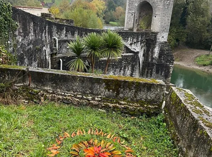Maison Du Gave Bed & Breakfast Sauveterre-de-Bearn