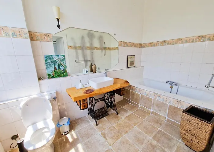 Maison Du Gave Bed & Breakfast Sauveterre-de-Bearn