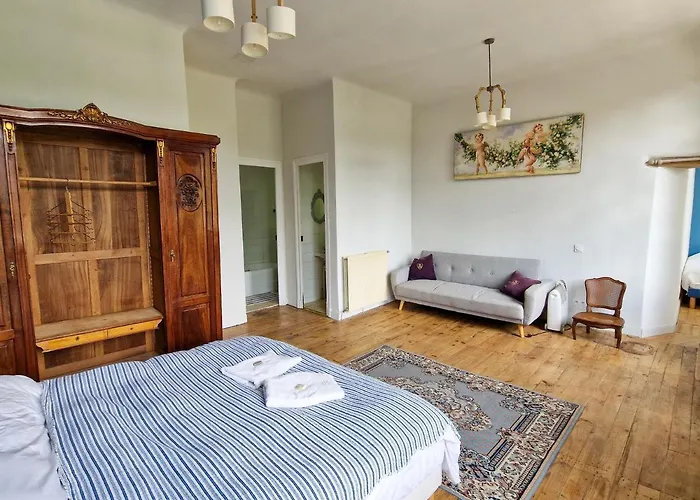 Maison Du Gave Bed & Breakfast Sauveterre-de-Bearn